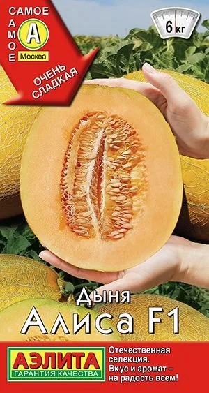 Дыня Алиса F1