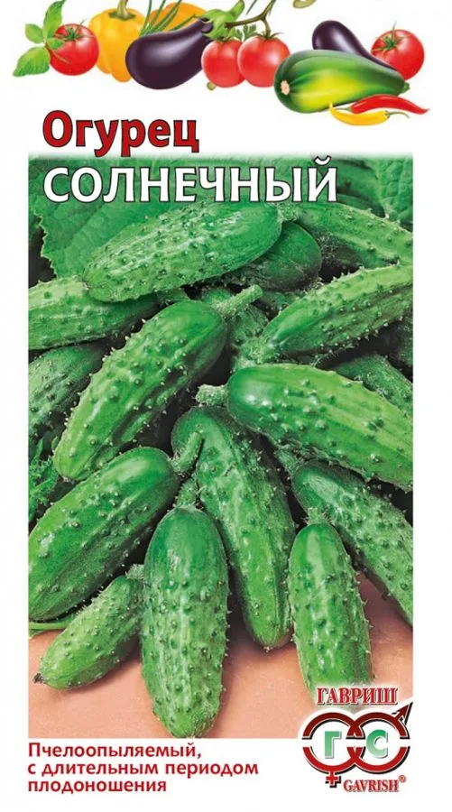 Огурец Солнечный