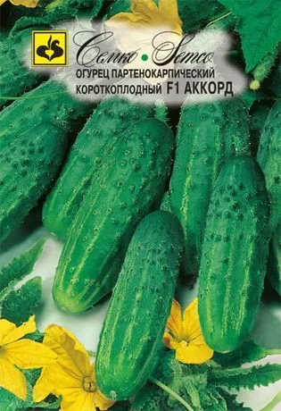 Огурец Аккорд F1