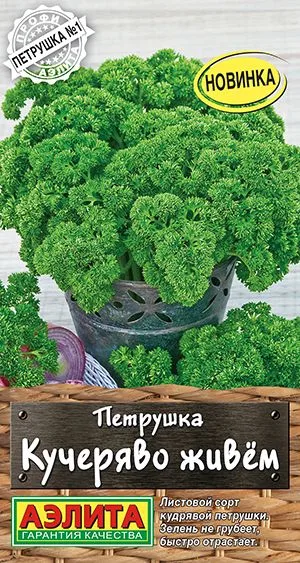 Петрушка кудрявая Кучеряво живем