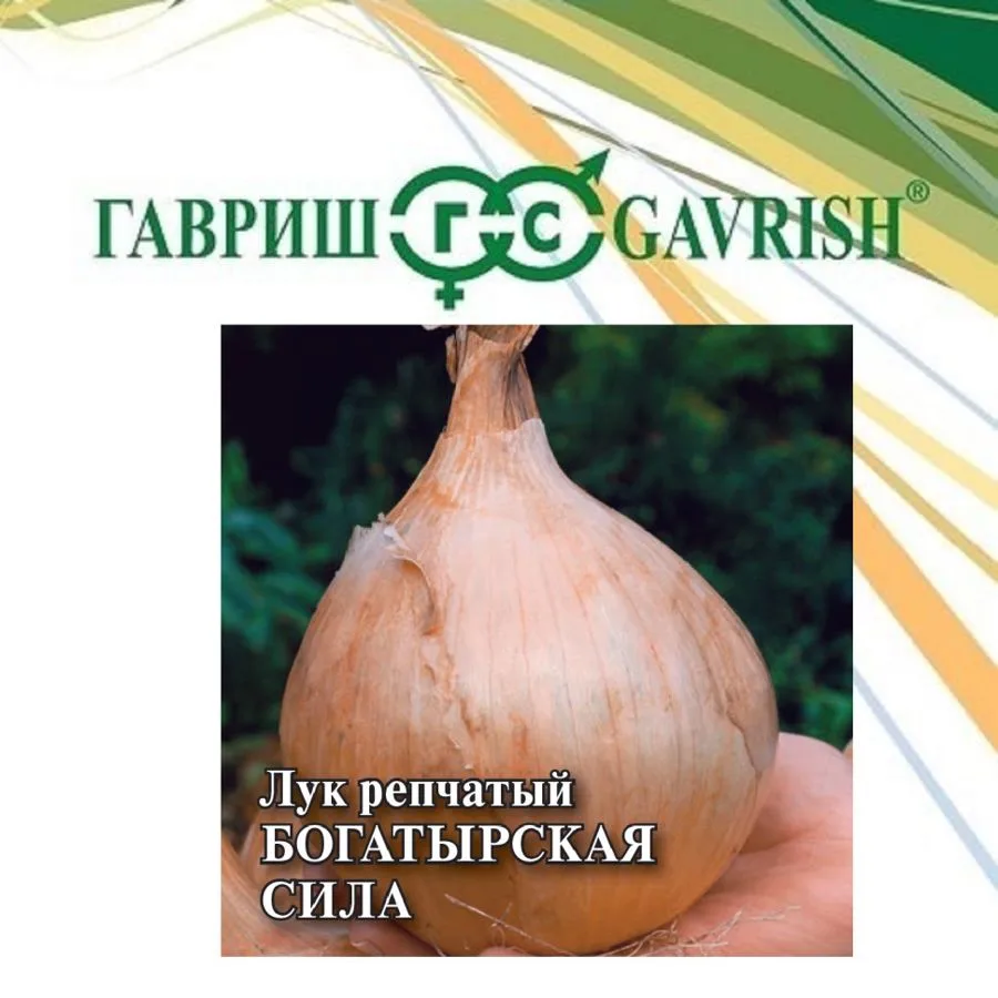 Лук репчатый Богатырская сила, 1,0кг, Гавриш, Фермерское подворье
