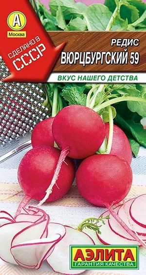 Редис Вюрцбургский 59