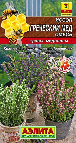 Пряные травы Иссоп Греческий мед, смесь сортов