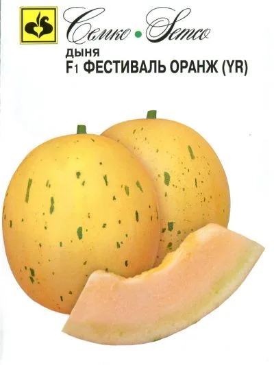 Дыня Фестиваль Оранж F1 (YR)
