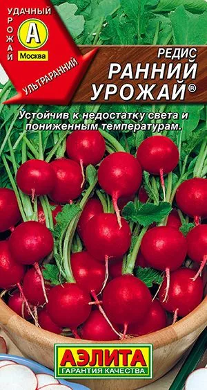 Редис Ранний урожай