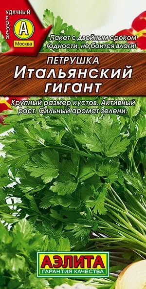 Петрушка листовая Итальянский гигант