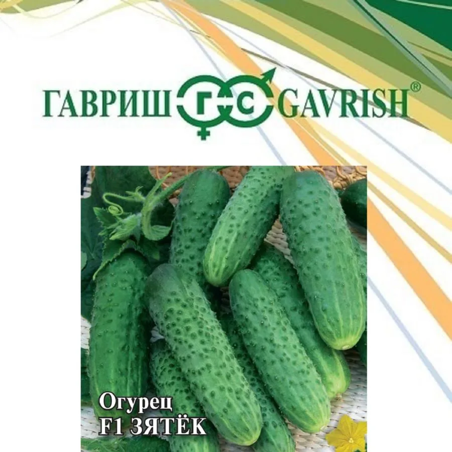 Семена: Огурец Зятек F1