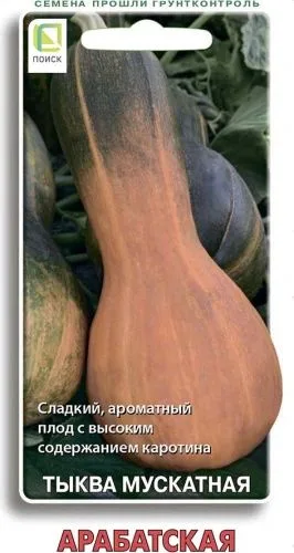 Тыква мускатная Арабатская