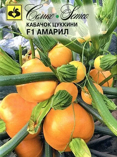 Кабачок Амарил F1