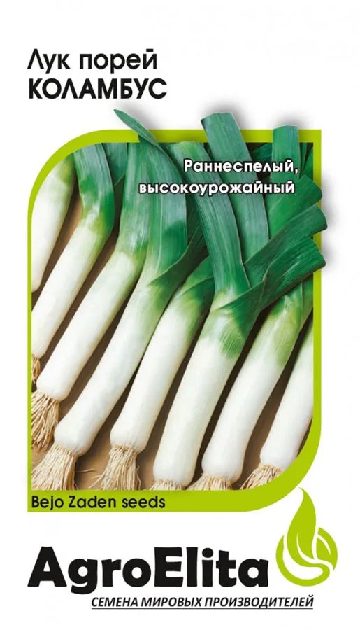 Лук порей Коламбус