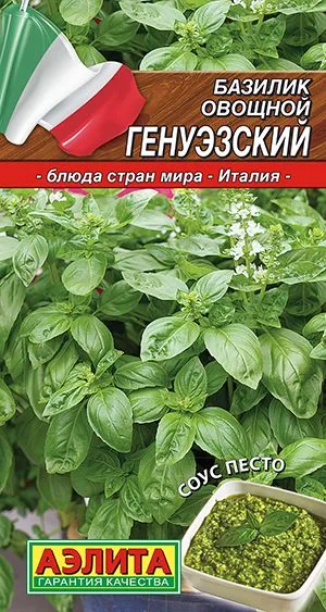 Базилик овощной Генуэзский