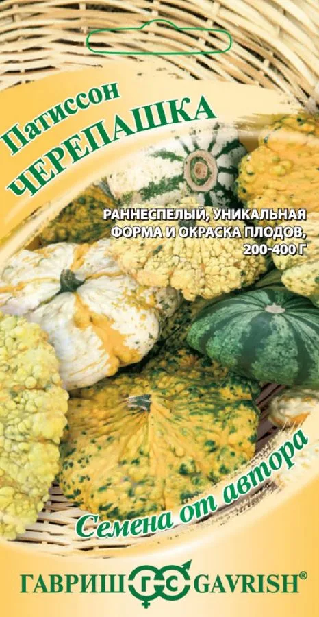 Патиссон Черепашка