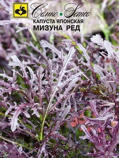 Капуста Мизуна Ред