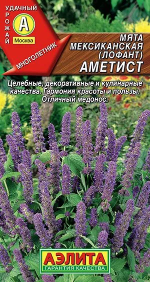 Пряные травы Мята мексиканская Аметист