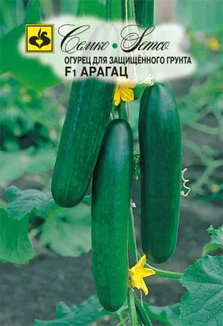 Огурец Арагац F1