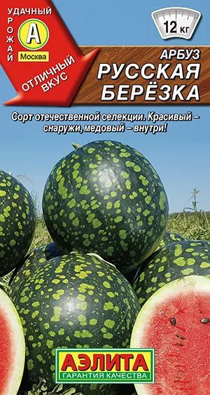 Арбуз Русская березка