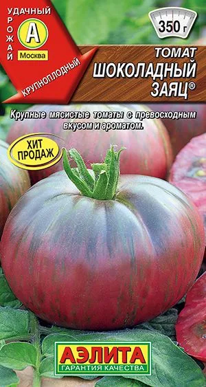 Томат Шоколадный заяц