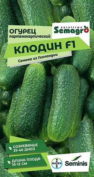 Семена: Огурец Клодин F1