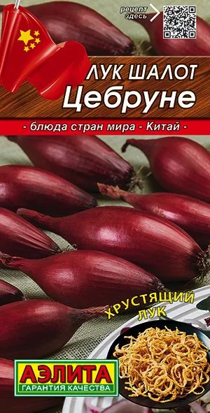 Лук шалот Цебруне