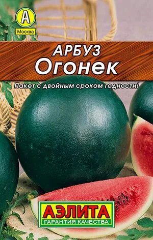 Арбуз Огонек