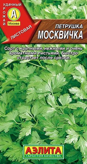 Петрушка листовая Москвичка