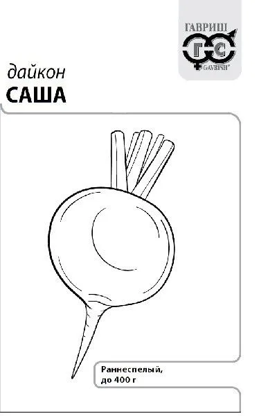 Редька Саша