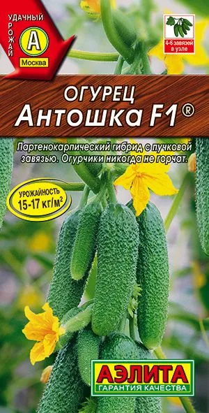 Семена: Огурец Антошка F1