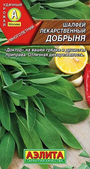 Лекарственные травы Шалфей лекарственный Добрыня