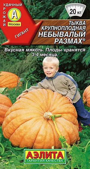 Тыква крупноплодная Небывалый размах ®
