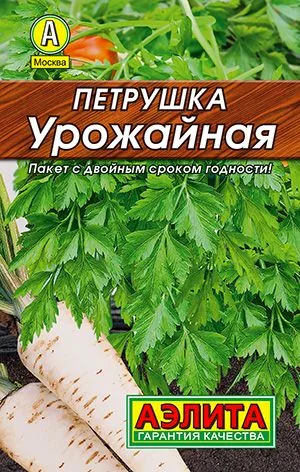 Петрушка корневая Урожайная