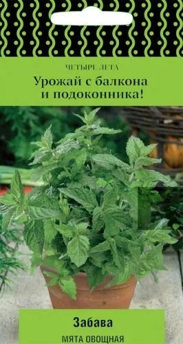 Пряные травы Мята овощная Забава