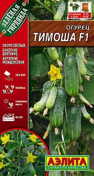 Огурец Тимоша F1