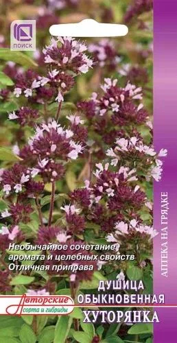 Пряные травы Душица обыкновенная Хуторянка
