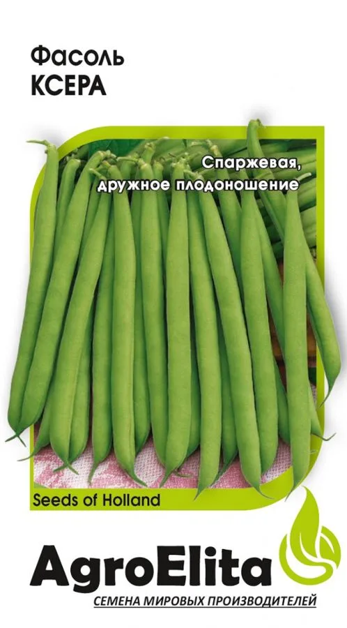 Фасоль спаржевая Ксера