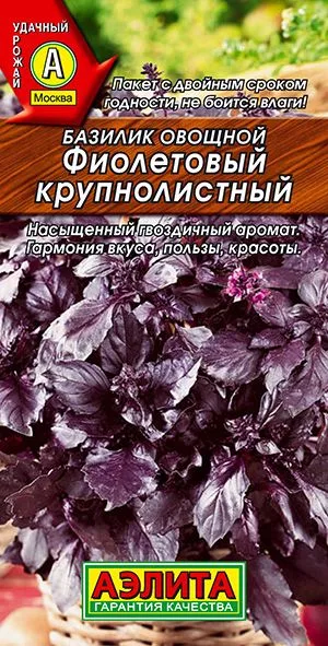 Базилик овощной Фиолетовый крупнолистный