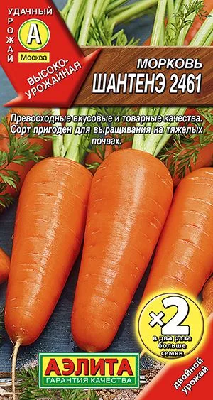 Морковь Шантенэ 2461