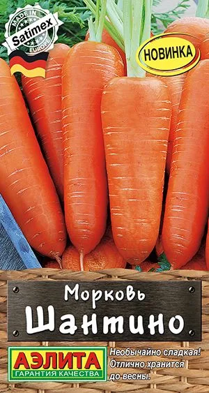Морковь Шантино