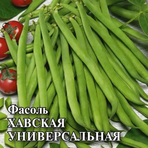 Фасоль Хавская Универсальная