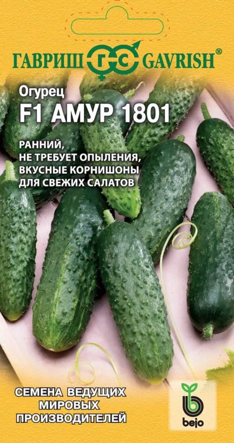 Огурец Амур 1801 F1