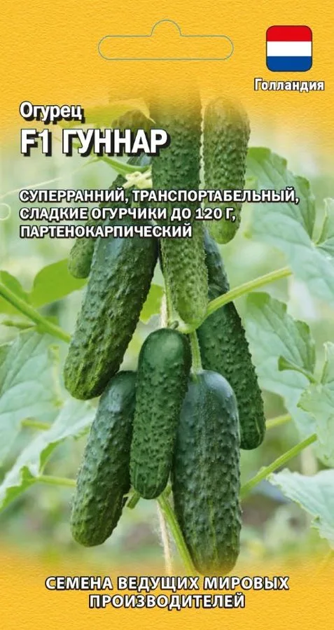 Семена: Огурец Гуннар F1