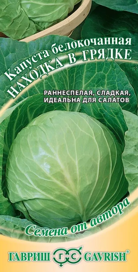 Капуста белокочанная Находка в грядке