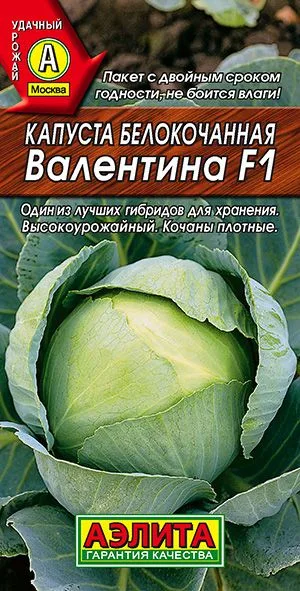 Семена: Капуста б/к Валентина F1