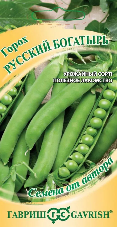 Фасоль Русский богатырь