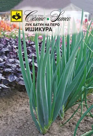 Лук Ишикура