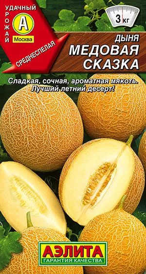 Дыня Медовая сказка