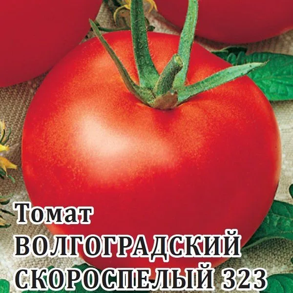 Семена: Томат Волгоградский скороспелый 323