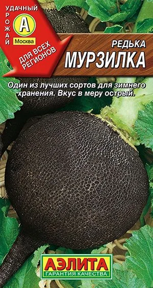 Редька Мурзилка