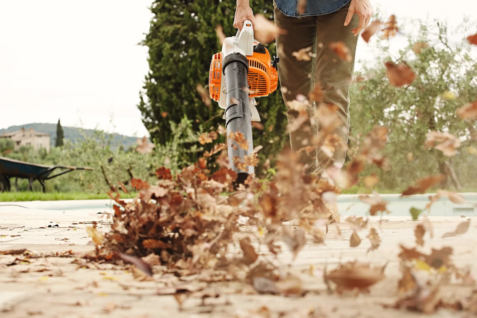 Бензиновый воздуходув STIHL BG 56 — фото производителя