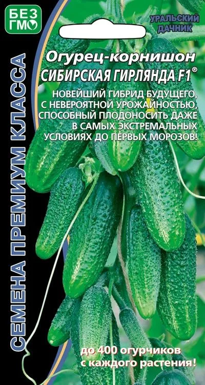 Огурец Сибирская гирлянда F1