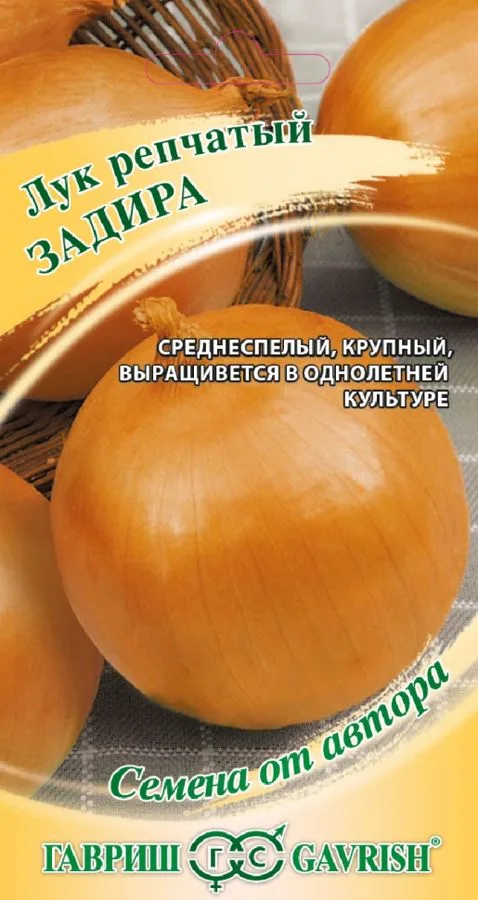 Лук репчатый Задира